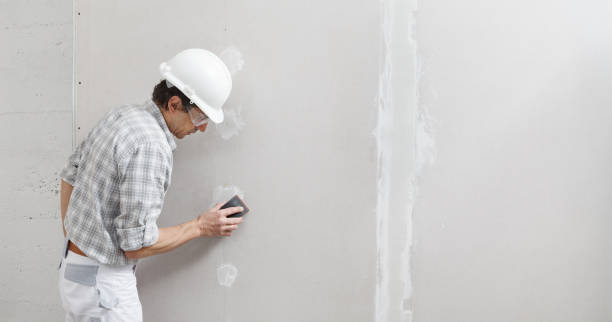Best Airborne Mold Testing  in Oxford, MI