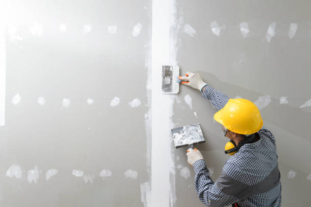 Best Mold Remediation for Vacation Homes  in Oxford, MI